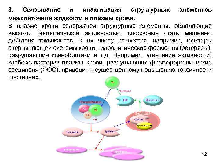 3. Связывание и инактивация структурных элементов межклеточной жидкости и плазмы крови. В плазме крови