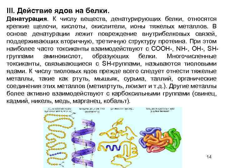 III. Действие ядов на белки. Денатурация. К числу веществ, денатурирующих белки, относятся крепкие щелочи,