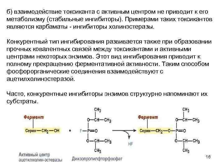 б) взаимодействие токсиканта с активным центром не приводит к его метаболизму (стабильные ингибиторы). Примерами