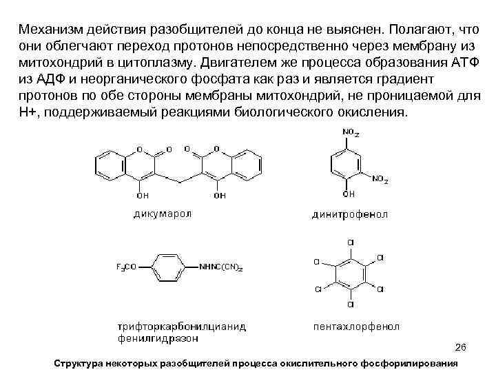 Механизм действия разобщителей до конца не выяснен. Полагают, что они облегчают переход протонов непосредственно