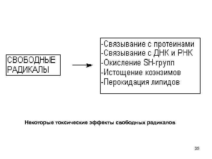 Некоторые токсические эффекты свободных радикалов 35 