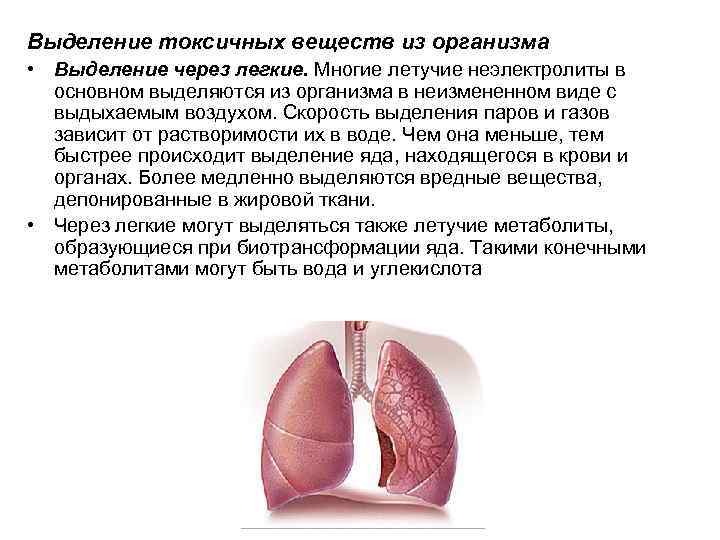 Выделение токсичных веществ из организма • Выделение через легкие. Многие летучие неэлектролиты в основном