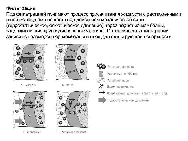 Фильтрация Под фильтрацией понимают процесс просачивания жидкости с растворенными в ней молекулами веществ под
