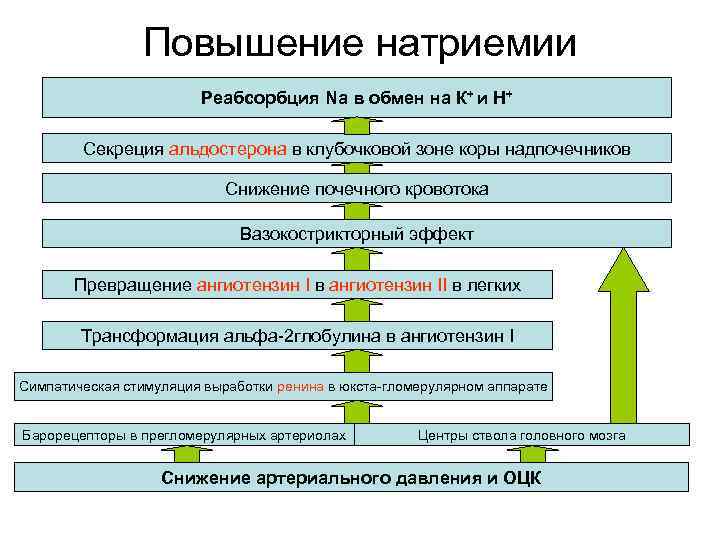 Повышение натриемии Реабсорбция Na в обмен на К+ и Н+ Секреция альдостерона в клубочковой