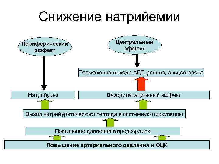 Снижение натрийемии Периферический эффект Центральный эффект Торможение выхода АДГ, ренина, альдостерона Натрийурез Вазодилатационный эффект