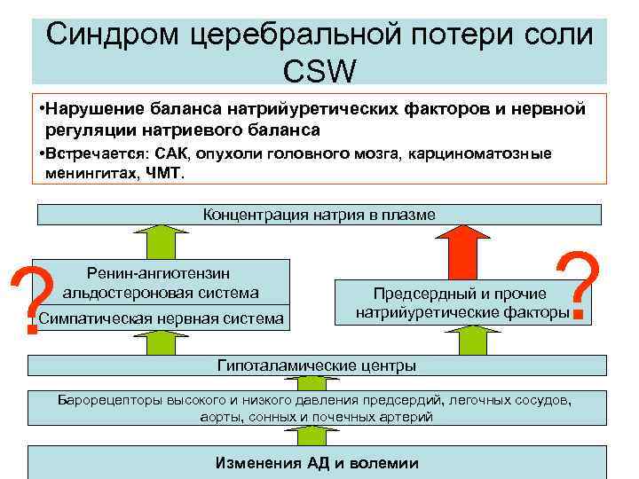 Синдром церебральной потери соли CSW • Нарушение баланса натрийуретических факторов и нервной регуляции натриевого