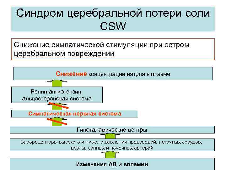 Синдром церебральной потери соли CSW Снижение симпатической стимуляции при остром церебральном повреждении Снижение концентрации