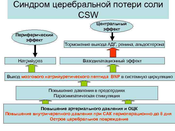 Синдром церебральной потери соли CSW Центральный эффект Периферический эффект Натрийурез Торможение выхода АДГ, ренина,