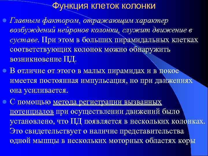 Функция клеток колонки Главным фактором, отражающим характер возбуждений нейронов колонки, служит движение в суставе.