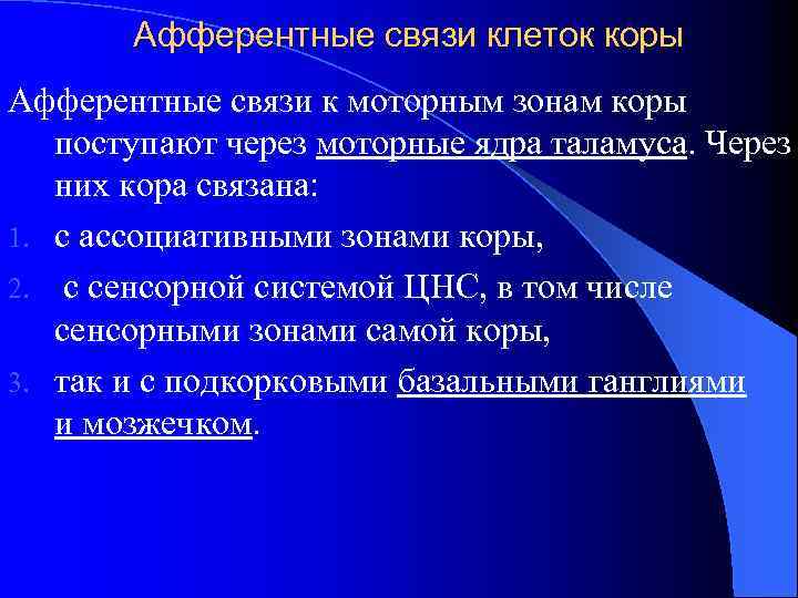 Афферентные связи клеток коры Афферентные связи к моторным зонам коры поступают через моторные ядра