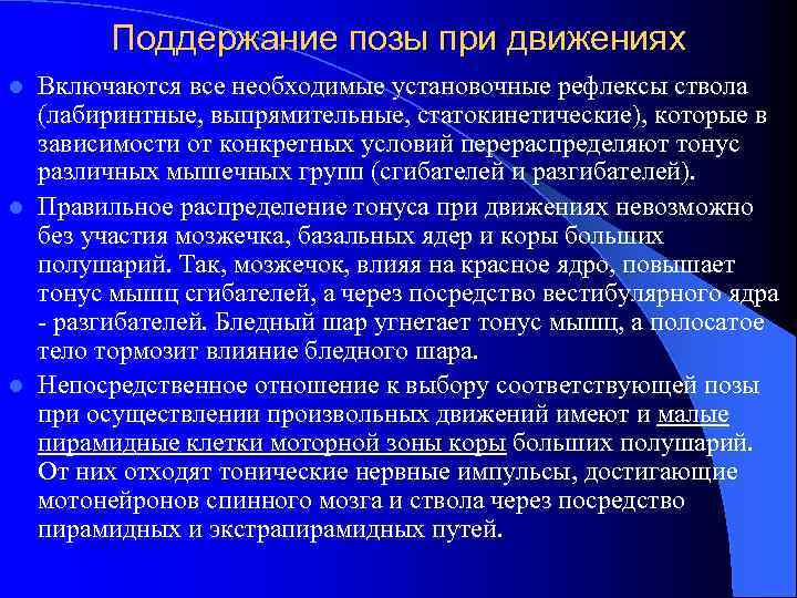 Поддержание позы при движениях Включаются все необходимые установочные рефлексы ствола (лабиринтные, выпрямительные, статокинетические), которые