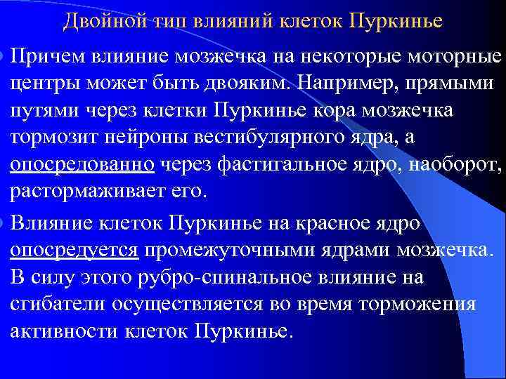 Двойной тип влияний клеток Пуркинье l Причем влияние мозжечка на некоторые моторные центры может