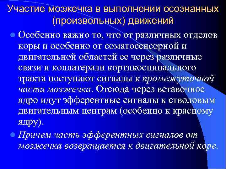 Участие мозжечка в выполнении осознанных (произвольных) движений l Особенно важно то, что от различных