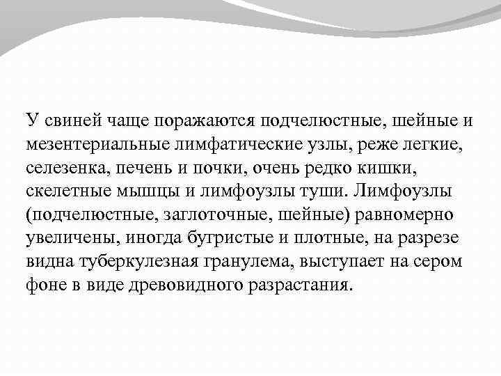 У свиней чаще поражаются подчелюстные, шейные и мезентериальные лимфатические узлы, реже легкие, селезенка, печень
