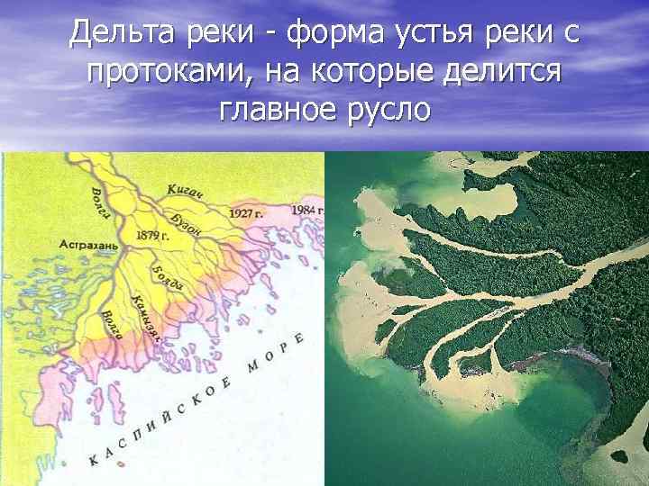 Устье реки это