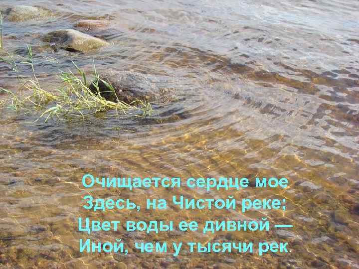 Очищается сердце мое Здесь, на Чистой реке; Цвет воды ее дивной — Иной, чем
