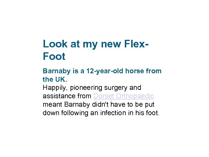 Look at my new Flex. Foot Barnaby is a 12 -year-old horse from the