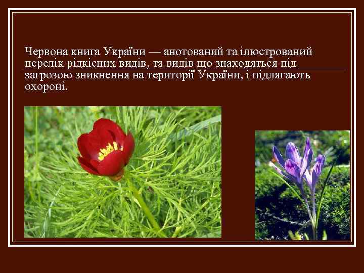 Червона книга України — анотований та ілюстрований перелік рідкісних видів, та видів що знаходяться