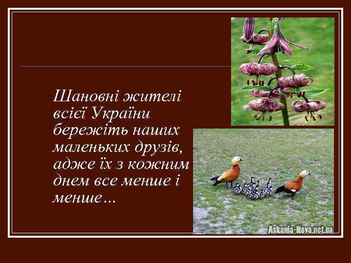 Шановні жителі всієї України бережіть наших маленьких друзів, адже їх з кожним днем все