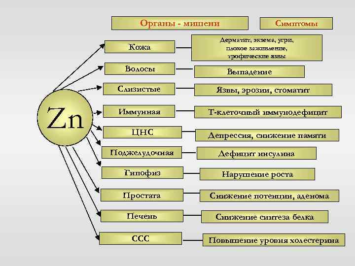 Органы - мишени Кожа Волосы Слизистые Zn Иммунная ЦНС Симптомы Дерматит, экзема, угри, плохое