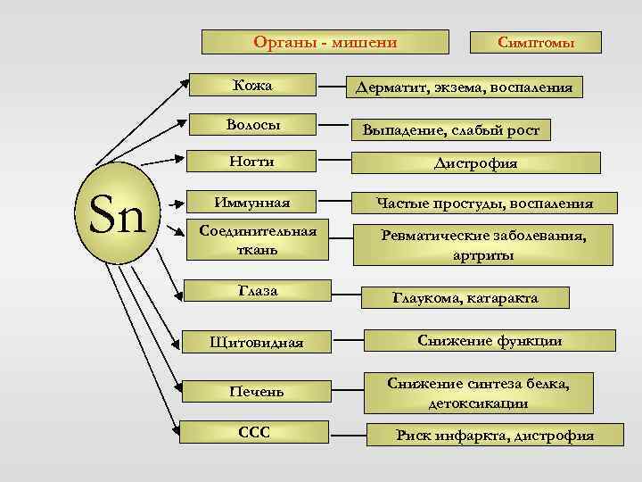 Органы - мишени Кожа Волосы Ногти Sn Иммунная Соединительная ткань Глаза Щитовидная Печень ССС