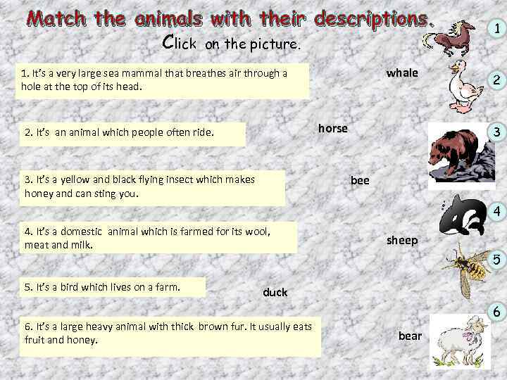 Match the animals with their descriptions. Click on the picture. whale 1. It’s a