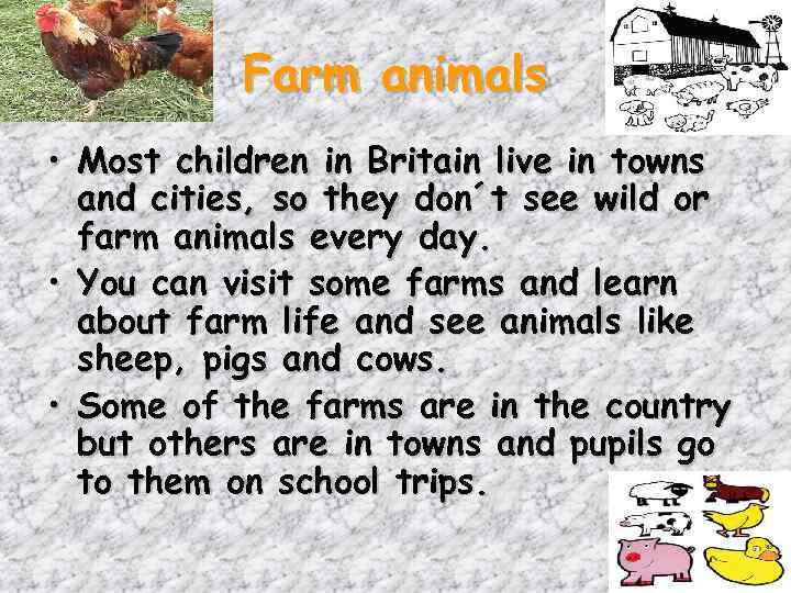 Farm animals • Most children in Britain live in towns and cities, so they