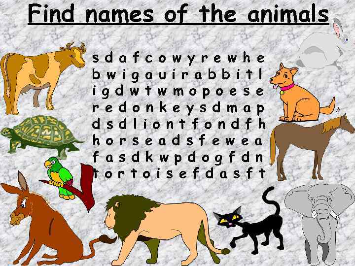 Find names of the animals s d a f c o w y r