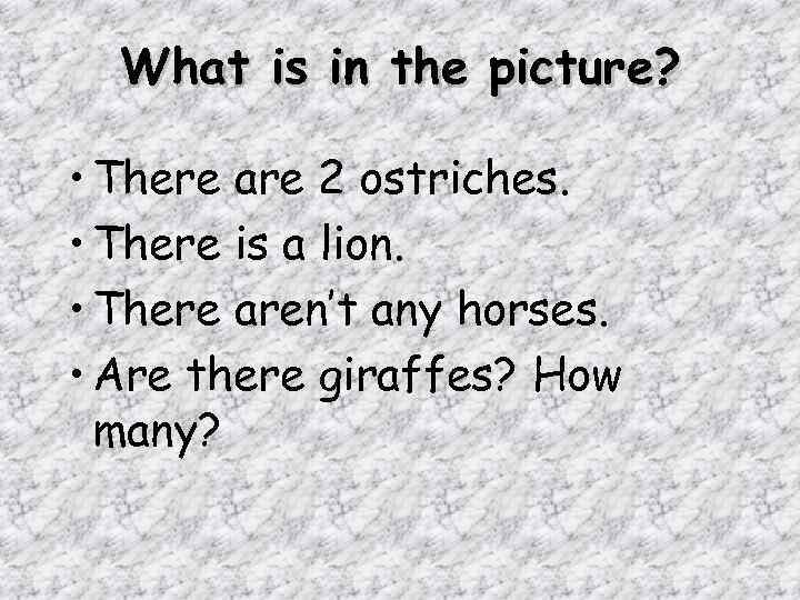 What is in the picture? • There are 2 ostriches. • There is a