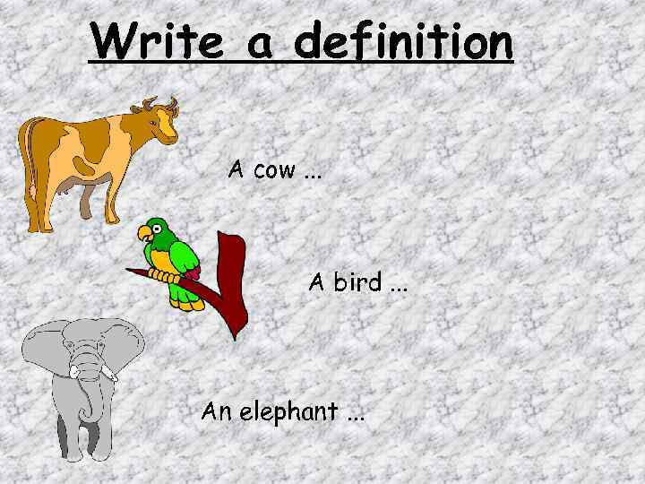 Write a definition A cow. . . A bird. . . An elephant. .