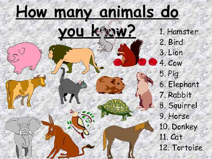 How many animals do you know? 1. Hamster 2. Bird 3. Lion 4. Cow
