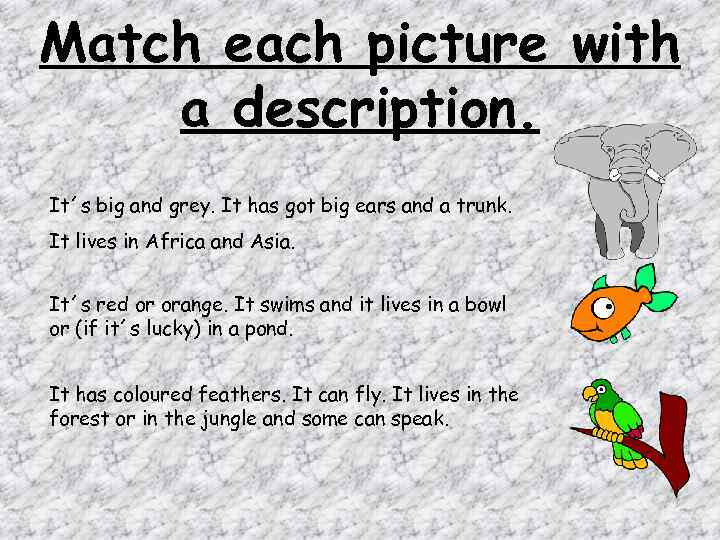 Match each picture with a description. It´s big and grey. It has got big