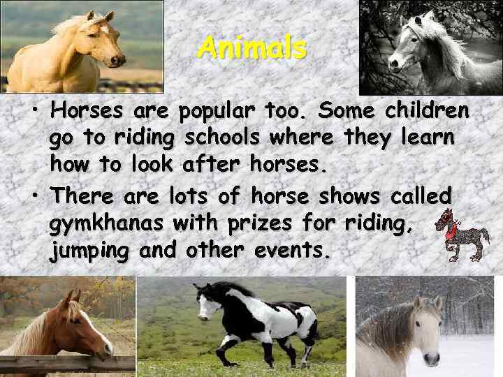 Animals • Horses are popular too. Some children go to riding schools where they
