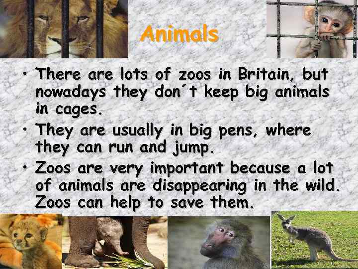 Animals • There are lots of zoos in Britain, but nowadays they don´t keep