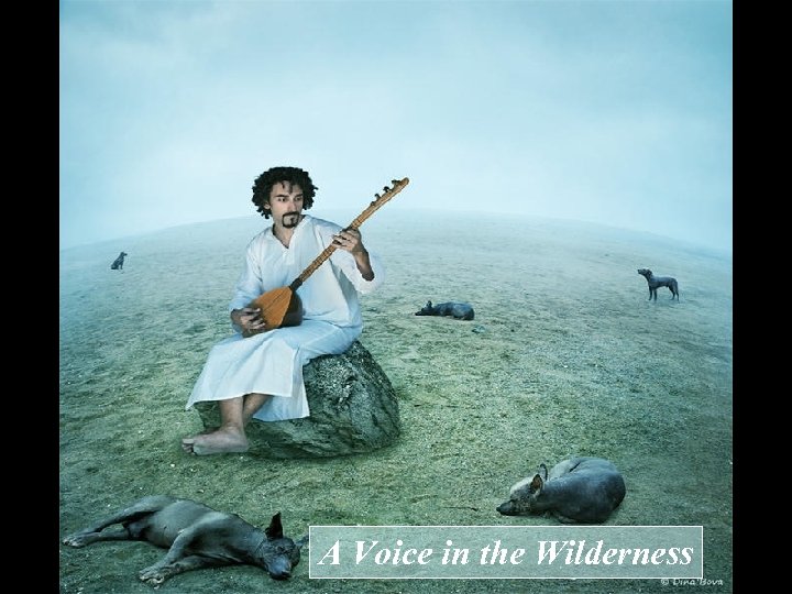 A Voice in the Wilderness 