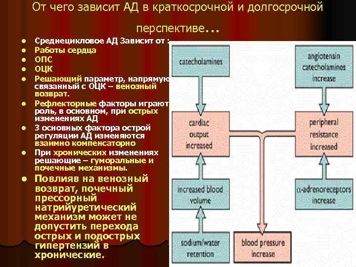 От чего зависит АД в краткосрочной и долгосрочной перспективе… l l l l l