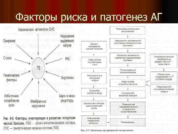 Факторы риска и патогенез АГ 