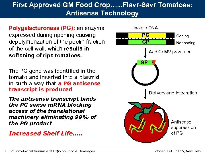 First Approved GM Food Crop…. . . Flavr-Savr Tomatoes: Antisense Technology Polygalacturonase (PG): an