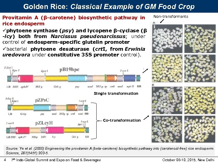 Golden Rice: Classical Example of GM Food Crop Provitamin A (β-carotene) biosynthetic pathway in