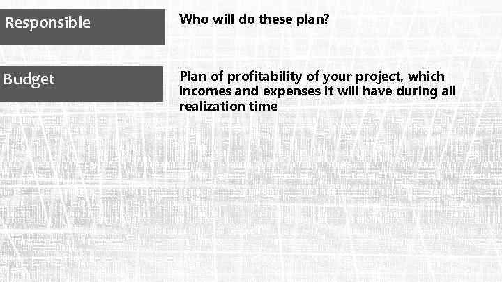 Responsible Who will do these plan? Budget Plan of profitability of your project, which