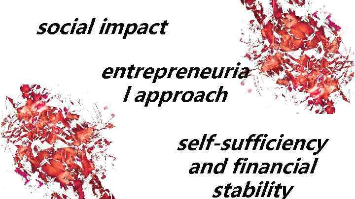 social impact entrepreneuria l approach self-sufficiency and financial stability 