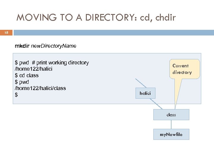 MOVING TO A DIRECTORY: cd, chdir 18 mkdir new. Directory. Name $ pwd #