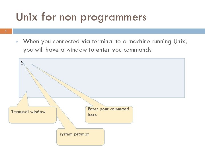 Unix for non programmers 1 When you connected via terminal to a machine running