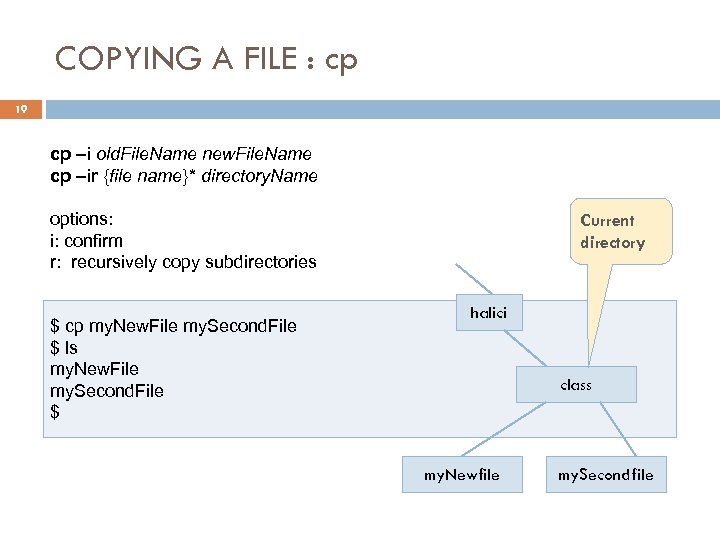 COPYING A FILE : cp 19 cp –i old. File. Name new. File. Name