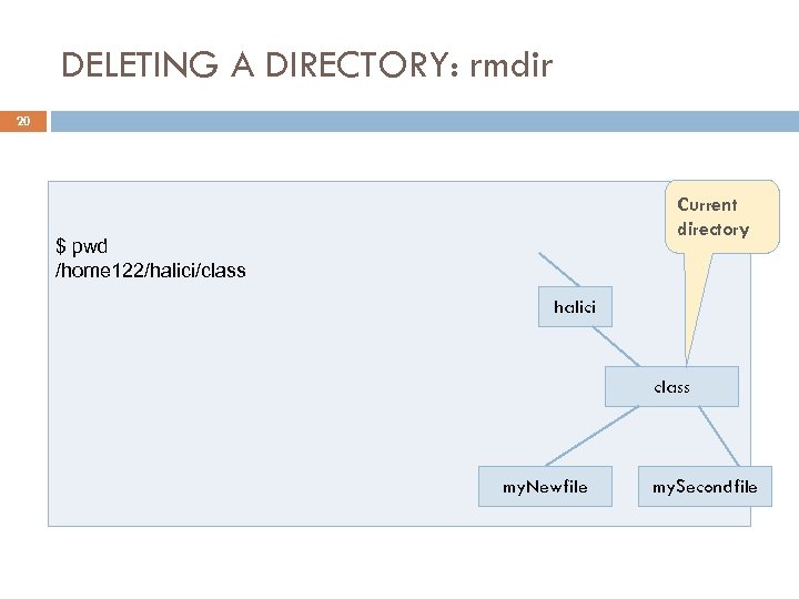 DELETING A DIRECTORY: rmdir 20 Current directory $ pwd /home 122/halici/class halici class my.