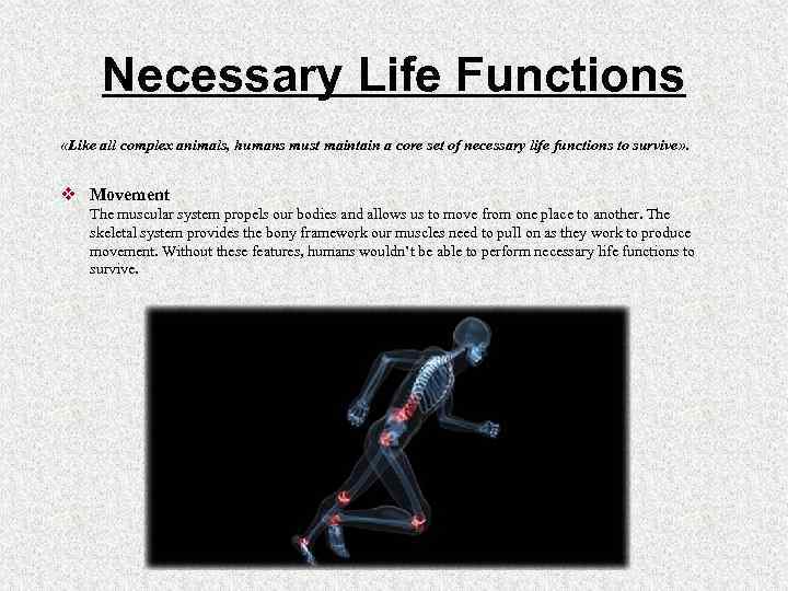 Necessary Life Functions «Like all complex animals, humans must maintain a core set of