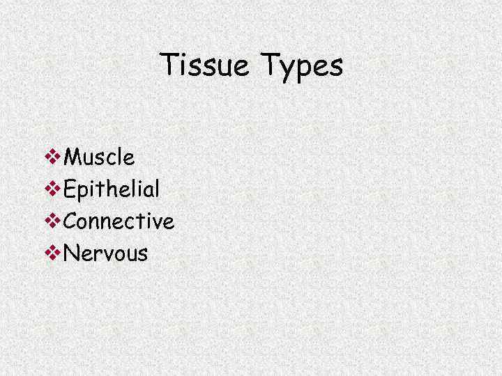 Tissue Types v. Muscle v. Epithelial v. Connective v. Nervous 