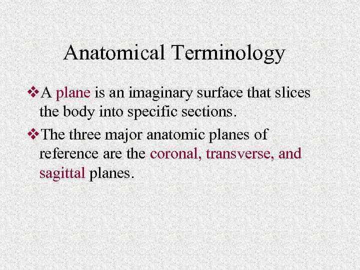 Anatomical Terminology v. A plane is an imaginary surface that slices the body into