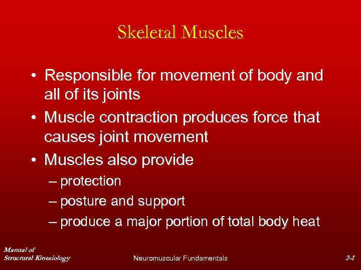 Skeletal Muscles • Responsible for movement of body and all of its joints •