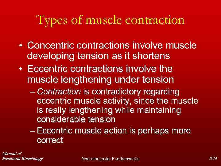 Types of muscle contraction • Concentric contractions involve muscle developing tension as it shortens